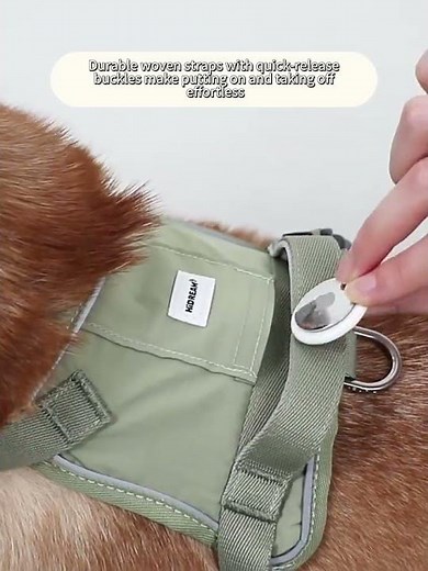 No More Leash Pulling! Dual D-Ring Comfort Dog Harness Walking Set