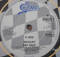 Wildlife - Rat Race