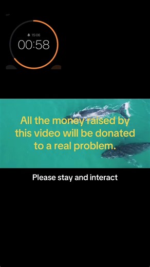 Donate to Climate Change Relief — LIVE Incentive Program Fundraiser