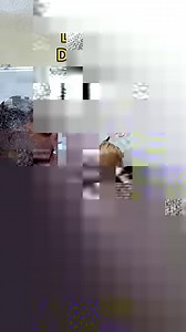 Don't be Ali Al Ali English YouTube | Ali Al Ali