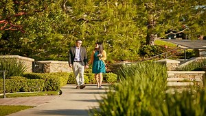 Types of Cemetery Properties | In-Ground & Aboveground Burial Options