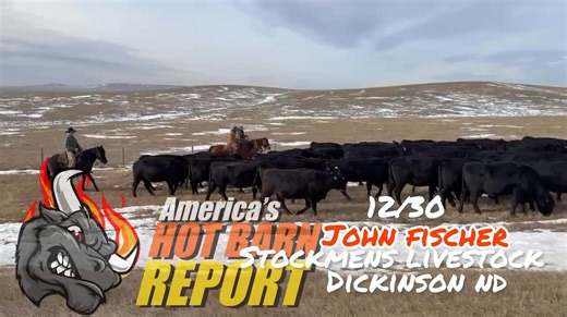 4.9K views · 30 reactions | Stockmens in Dickinson is having their annual holiday sale on Tuesday!! This is one sale you do NOT want to miss!! Fill the seats or bid online at www.cattleusa.com | Hot Barn Report | Facebook