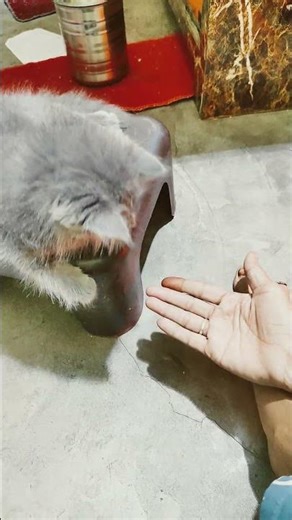 👍💯😘🥰♥️👍👍#