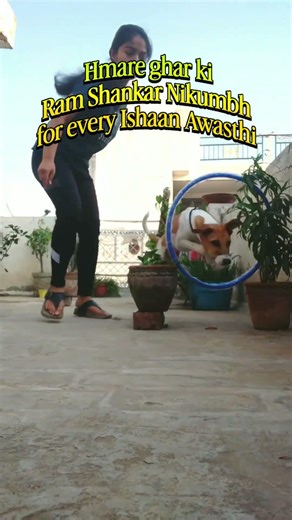 Not Stubborn, Just Misunderstood 🐾 Indie Dog Training Truth #trending #training #yearofthedog #pets