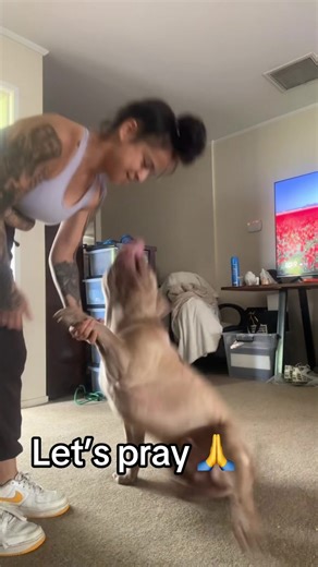 Daily Prayer Routine with My Dog