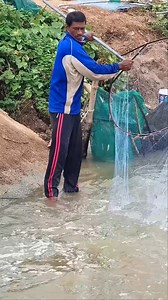 Fishermen dip net fish get a lot of fish under dam 🐠🐋🐟. #fishing #netfishing #fish #fishinglife #usa #reels | Chaly Fishing