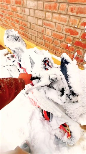 DuKey WHEELI 🚀❤️‍🩹 #ytshorts #rider #ktmmotorcycle #duke #ktmrc390 #bikeride #bikes