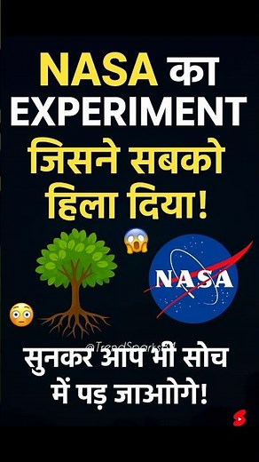 A Truth That Will Blow Your Mind😱