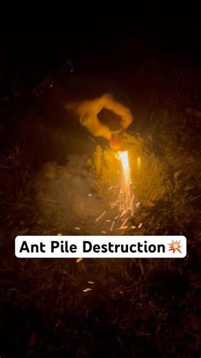 Powerful Firework Vs Ant Pile😱