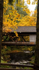🌲 The best fall viewpoint in the PNW: Cedar Grist Mill 📍 Just outside Woodland, WA, about 30 minutes outside Portland. 💦 Built in 1876 — still turning water into flour 🍁 Best visited in fall for the foliage ☕️ Perfect little pit stop before or after a PNW road trip Follow @jessies__journeys for more PNW fall inspo. #visitwashington #washingtonstate #pnwlife #fallcolors #autumnishere | jessies__journeys