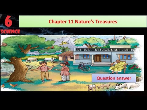 chapter 11 nature's treasures