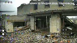 🇺🇦👊🔥 Ukraine’s 155th Brigade shared footage of Russian motorcycle assault groups being stopped near Pokrovsk. Drone reconnaissance spotted several attempted breakthroughs from the north and south, all were repelled. Ulmus Rubra Ulmus Marginata Ulmus Nigra Ulmus Variegata Ulmus Beridze Gocha Mario Visconti Giuseppe Frau | Daniele Ferrari