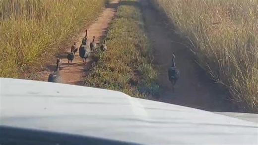 17K views · 370 reactions | FM Gospel Radio Broadcasting Network on Reels | Facebook