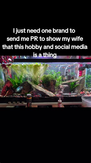 My wife thinks no brand will ever send me PR someone prove her wrong #pr #branding #brandidentity #fyp #theremustbeone | Az Aquarium Plants N Fish