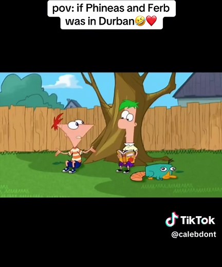Phineas and Ferb in Durban: A Fun Cartoon Twist