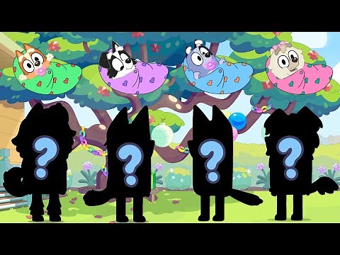 Bluey: Learn Colors & Shapes With Bingo!