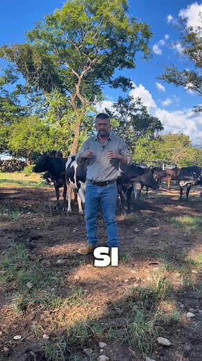 570K views · 18K reactions |  Ganadero… lo que hagás 30 días antes...