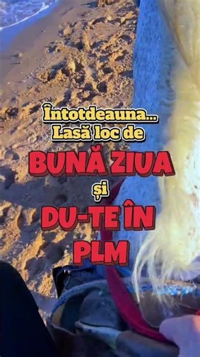 Meme-uri amuzante 😂😂😂 #shorts #romania