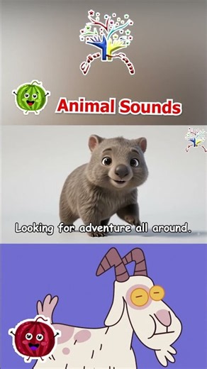Australian Animal Sounds Song 🦘🐨🐾 | Learn Kangaroo, Koala & Wombat Sounds for Kids