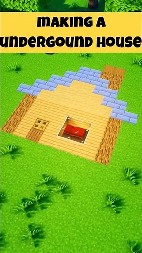 I Built A 2D House In Minecraft!