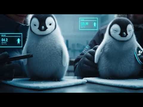 The Hidden Process | How Penguin Chicks Are Raised to Return to the Wild