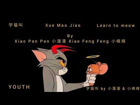 学猫叫 Learn to meow By 小潘潘 & 小峰峰 （Chinese/ pinyinlyrics/ mmsub）