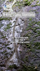 The ancient fish symbol and its variations, such as the double-pointed oval and downward delta, carry deep connections to the sacred feminine, symbolizing the womb, union, and divine balance. Carvings at sites like King’s Caves highlight the reverence for feminine energy through esoteric traditions, blending ancient symbolism with profound meaning. Join our Discord Community: https://discord.gg/SneQscquzv See more from Hayley: https://www.instagram.com/hayleyaramsey?igsh=MTN1OGkwMDZqejU1bg== | C