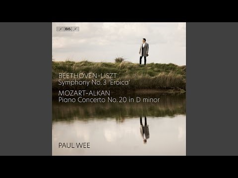 Piano Concerto No. 20 in D Minor, K. 466 (Arr. C.V. Alkan for Piano): I. Allegro