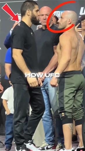 ALL UFC Weight Classes