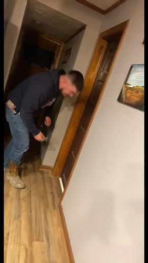 Pyrotechnic Display at Night