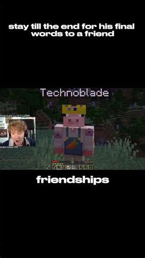 TommyInnit and Technoblade: The end of a legendary duo #minecraft #technoblade #tommyinnit #gaming