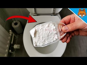 Dump WASHING POWDER into your Toilet and WATCH WHAT HAPPENS 💥