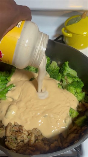 Fettuccine Alfredo with chicken and broccoli dinner