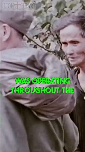 "1st Inf. Div. In Vietnam 1965 - 1970" Part 7 #lionheartfilmworks #bigredone #vietnamwar