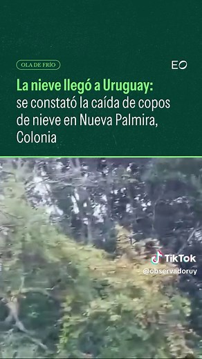 ❄️ Tras distintos pronósticos que no descartaban la caída de nieve en Uruguay, finalmente este lunes se concretó el fenómeno meteorológico en distintos departamentos el país. 🥶 En Soriano y Colonia se registró una leve nevada que fue compartida por Meteorología Estación bcp en su cuenta de X. Conocé más detalles en 👉 www.elobservador.com.uy 📹 @Estacion_bcp #nieve #uruguay