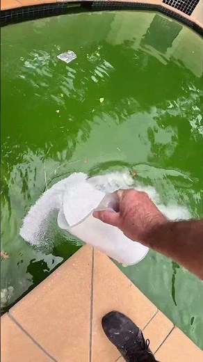 Satisfying Green Pool Cleaning PART 2