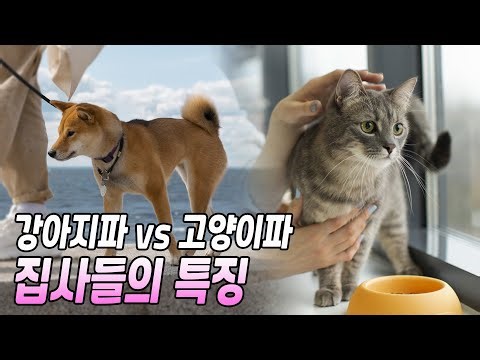 강아지를 키우는 사람과 고양이를 키우는 사람의 차이점