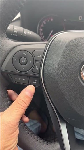 RAV4 XLE voice command options