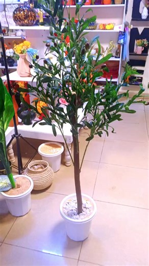 Olive tree available 2k #homedecor #olive #artificialplants