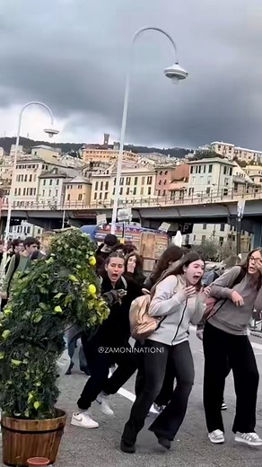 250K views · 2.1K reactions | You are a man don’t scream 藍#bushmanprank #funnyvideos #prank #funny #viralvideo #humour | Zamonination1 | Facebook