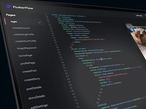 Code View in Flutterflow