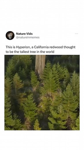 22K views · 243 reactions | Hyperion is estimated to be 700-800 years...