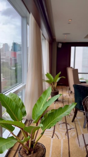 Fairmont Gold guests have access to the exclusive Fairmont Gold Lounge, an elegantly designed space for those seeking a more intimate ambience. Start your day here with breakfast and coffee or wind down in the evening with cool cocktails, complimented by a unique view of Makati City. #ThatFairmontFeeling #FairmontGold #FairmontMakati #FairmontHotels | Fairmont Makati