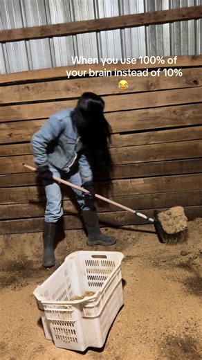 #barnhack #barrelracer #horse #fyp | horses