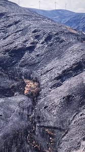 123K views · 2.6K reactions | Imágenes de Pobladura de La Sierra en León, posterior a los incendios en la Provincia de León  . Video por @destinoleon | España Spain | Facebook