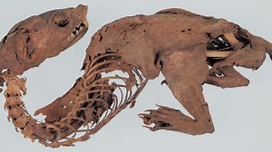 Mystery of 1,000-year-old ‘mummified dragon’ found by samurai is solved