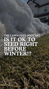 6.1K views · 31 reactions | SEEDING BEFORE WINTER!? 略 ⤵️ It’s not as...