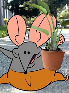 Rat Saves Neglected Plant for Earth Day | Rat Home