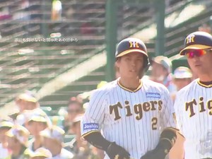 梅ちゃんずっと応援してます！2️⃣日本シリーズ初戦勝ちましたね😺#阪神タイガース #梅野隆太郎 #歌詞動画 #いつかこの涙が