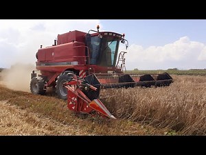 Harvested for wheat with combine case 2188 axial flow.